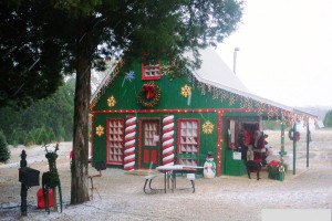 Sugarhaus with Santa